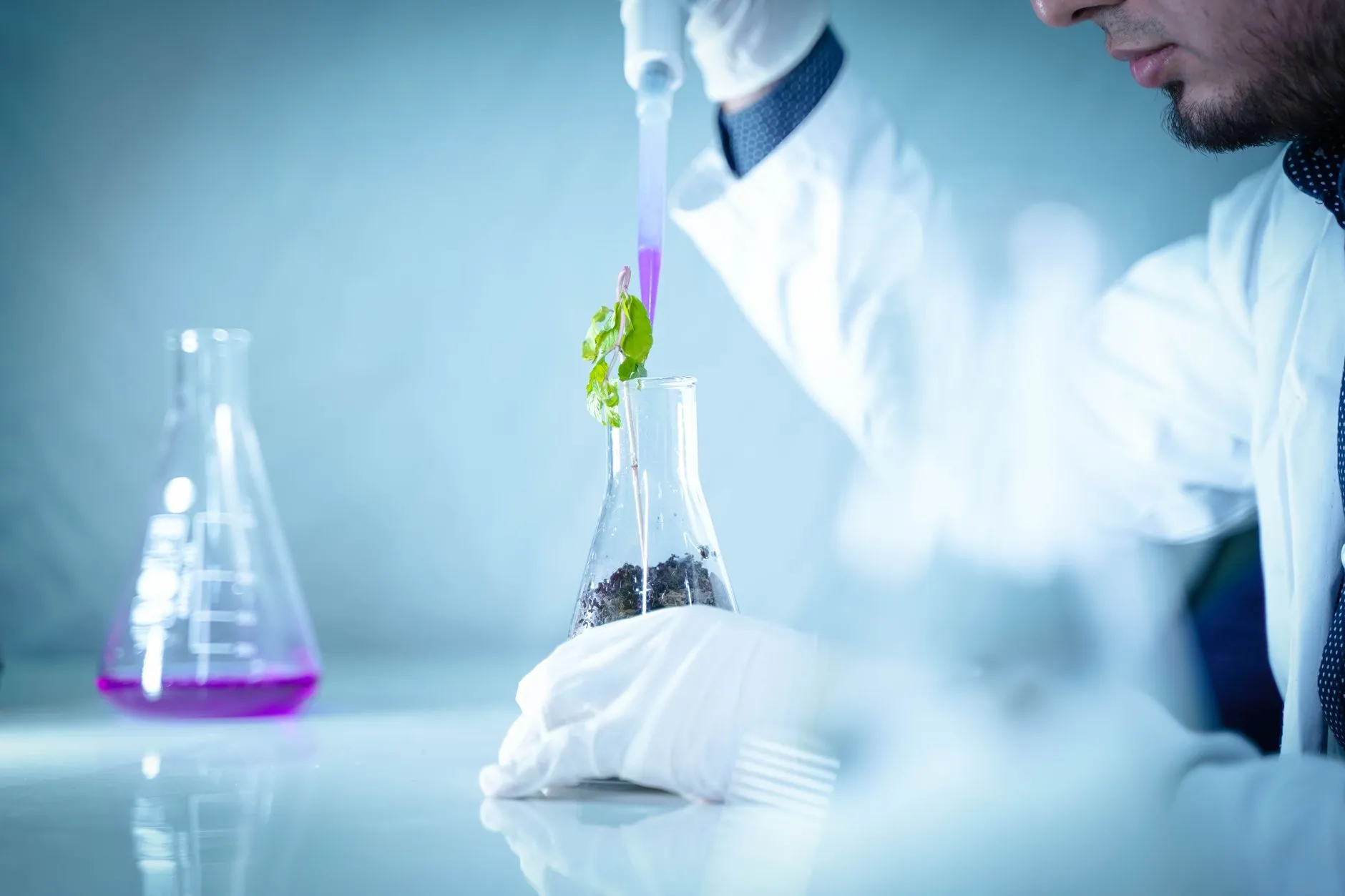 河南御颜堂生物科技：天然植物提取物在抗衰老精华液中的应用分析正文配图 1